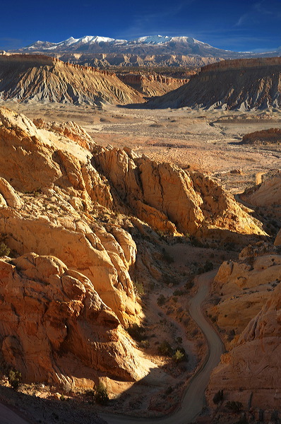 picture14.jpg